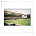 Molineaux Home Of Wolves