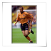 Steve Bull